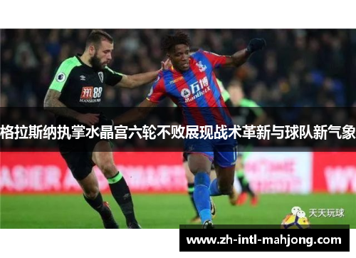 格拉斯纳执掌水晶宫六轮不败展现战术革新与球队新气象
