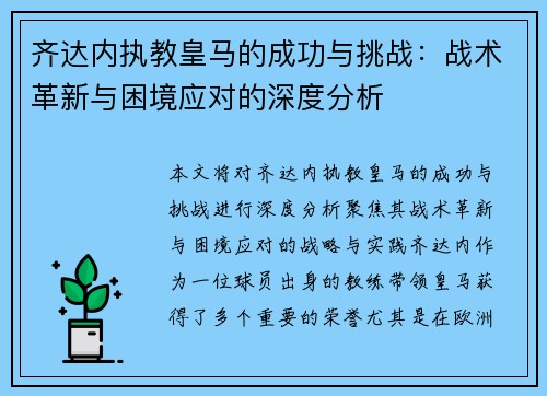 齐达内执教皇马的成功与挑战：战术革新与困境应对的深度分析