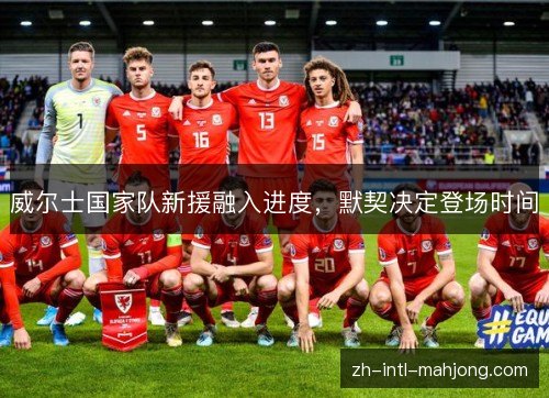 威尔士国家队新援融入进度，默契决定登场时间